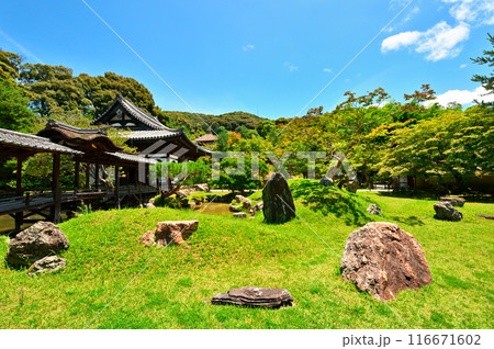 高台寺庭園 高台寺庭園 116671602