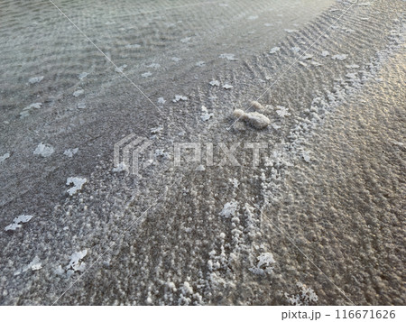 Close-up of textured saline surface with water and salt residue Close-up of textured saline surface with water and salt residue 116671626