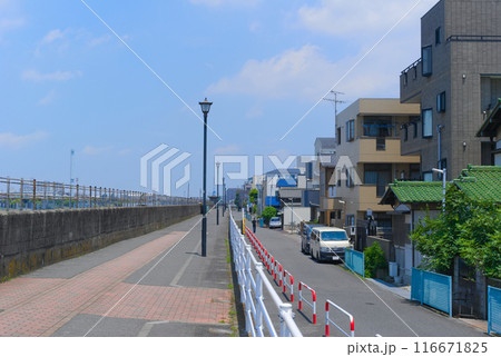 千葉県市川市旧江戸川沿いの道2024年7月 116671825