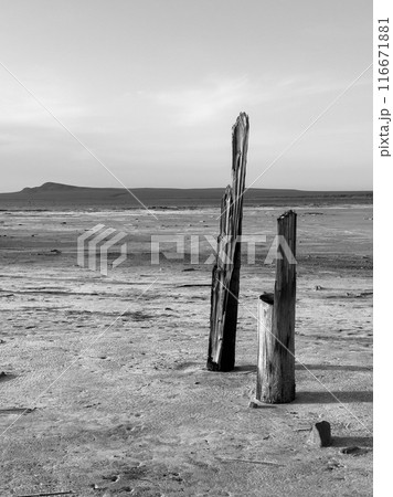 Black and white landscape of a barren desert with wooden posts Black and white landscape of a barren desert with wooden posts 116671881