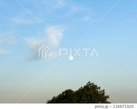 Clear sky with moon over tree at dusk Clear sky with moon over tree at dusk 116671920