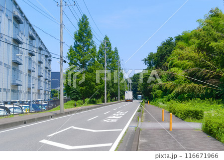 千葉県流山市常磐自動車道周辺2024年7月 116671966