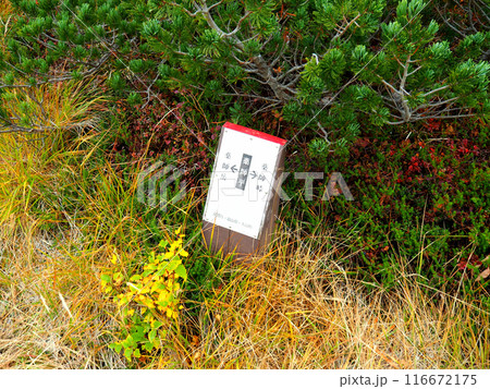 【山の標識】富山県・薬師岳・薬師平(2016年) 【山の標識】富山県・薬師岳・薬師平(2016年) 116672175
