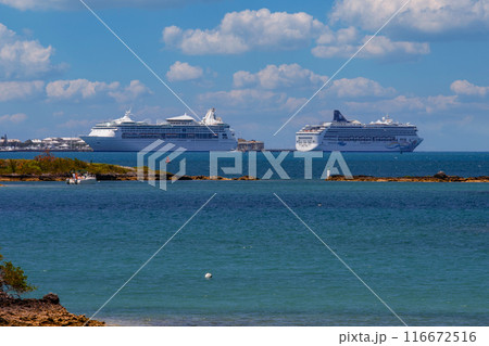 バミューダ島 116672516