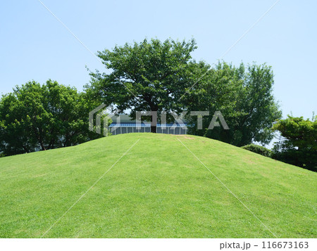 マレットゴルフ広場｜辰巳の森海浜公園 116673163