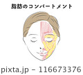 顔の脂肪、たるみに悩む女性イラスト 116673376