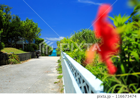沖縄　慶良間諸島　渡嘉敷島の風景　阿波連集落 116673474