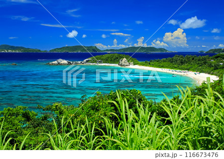 真夏の沖縄　慶良間諸島　渡嘉敷島の風景　阿波連ビーチ 116673476