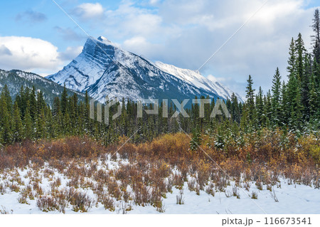 Snow-covered Mount Rundle with snowy forest. Banff National Park beautiful landscape in winter. Canadian Rockies, Alberta, Canada. Snow-covered Mount Rundle with snowy forest. Banff National Park beautiful landscape in winter. Canadian Rockies, Alberta, Canada. 116673541