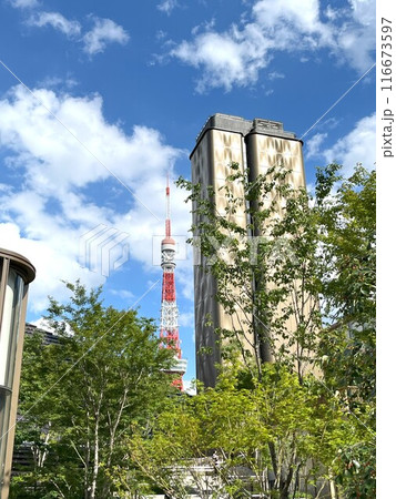 ヒルズから見た東京タワー ヒルズから見た東京タワー 116673597