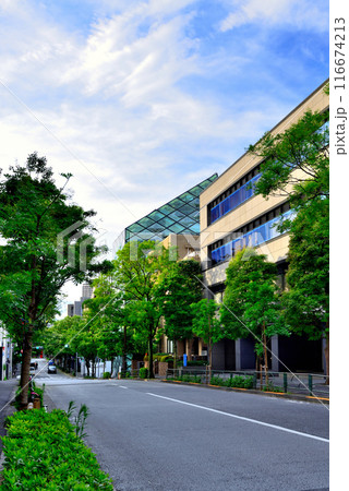 東京南青山 高級ブランド店 プラダ青山店の風景 東京南青山 高級ブランド店 プラダ青山店の風景 116674213