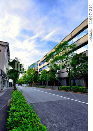 東京南青山 高級ブランド店 プラダ青山店の風景 東京南青山 高級ブランド店 プラダ青山店の風景 116674214