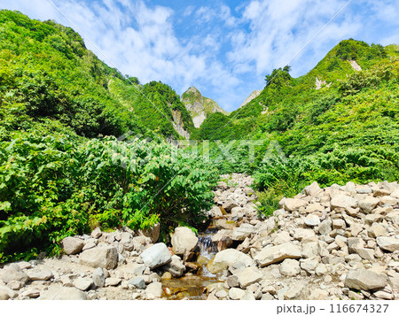 夏の雨飾山登山(荒菅沢から布団菱の眺め) 夏の雨飾山登山(荒菅沢から布団菱の眺め) 116674327