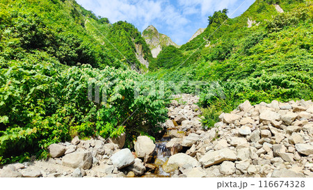 夏の雨飾山登山（荒菅沢から布団菱の眺め） 116674328