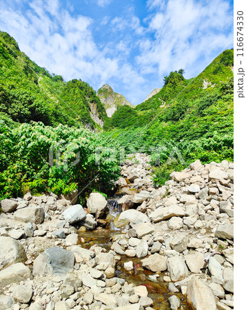 夏の雨飾山登山(荒菅沢から布団菱の眺め) 夏の雨飾山登山(荒菅沢から布団菱の眺め) 116674330