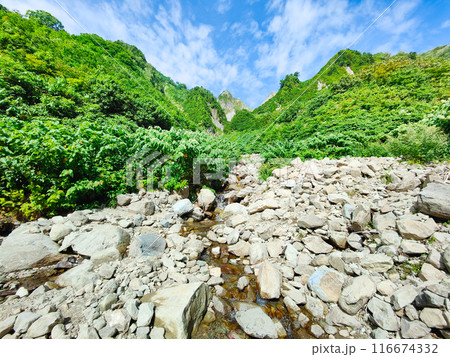 夏の雨飾山登山（荒菅沢から布団菱の眺め） 116674332