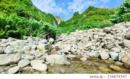 夏の雨飾山登山(荒菅沢から布団菱の眺め) 夏の雨飾山登山(荒菅沢から布団菱の眺め) 116674347