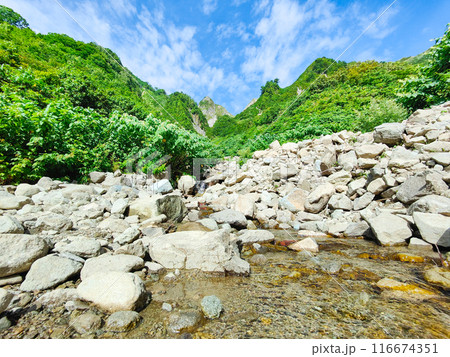 夏の雨飾山登山（荒菅沢から布団菱の眺め） 116674351
