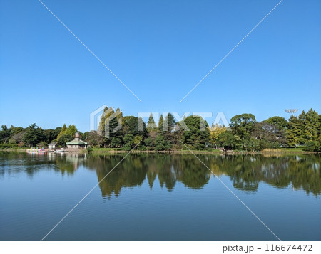 柏の葉公園の池 柏の葉公園の池 116674472