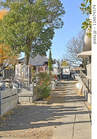 中山道本庄宿:真言宗智山派 大正院 本庄市本庄 中山道本庄宿:真言宗智山派 大正院 本庄市本庄 116674574