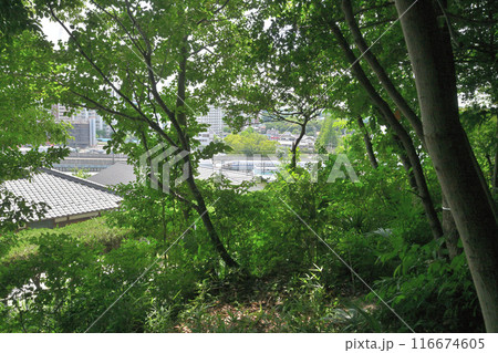 名古屋市緑区大高町　市街地の中にある「丸根砦」　桶狭間古戦場近く 116674605