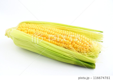 とうもろこし（ミルキースイーツ） 116674781