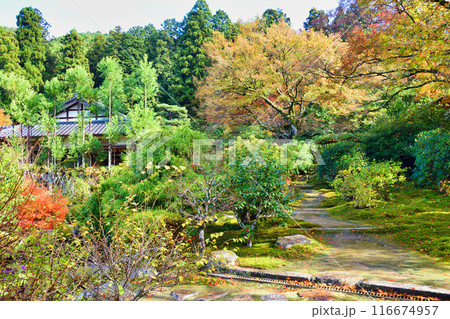 大原 実光院 旧理覚院庭園 美しい秋の庭(京都市左京区) 大原 実光院 旧理覚院庭園 美しい秋の庭(京都市左京区) 116674957