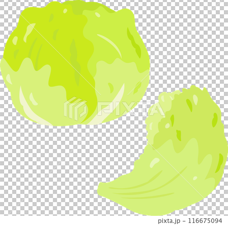 Head lettuce with one leaf removed 116675094