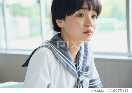 勉強する女子高生 勉強する女子高生 116675151