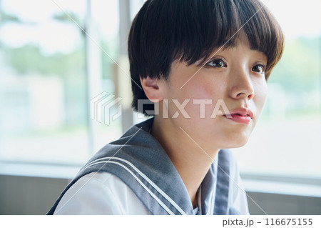 勉強する女子高生 勉強する女子高生 116675155