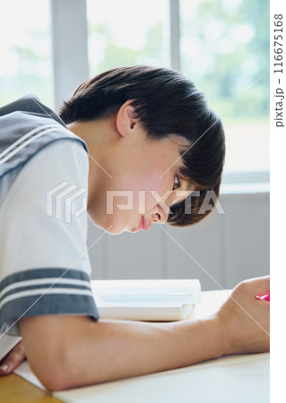 勉強する女子高生 勉強する女子高生 116675168
