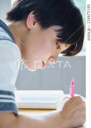 勉強する女子高生 116675180