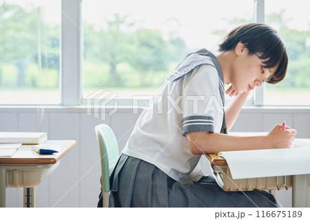 勉強する女子高生 116675189