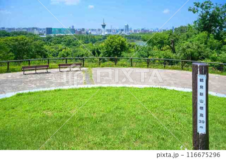 鶴見新山と眺望 116675296