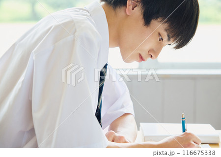 勉強する男子学生 勉強する男子学生 116675338