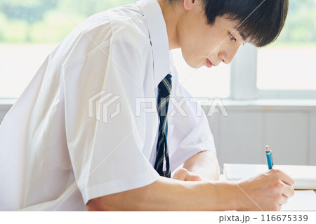 勉強する男子学生 116675339