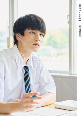 勉強する男子学生 116675346
