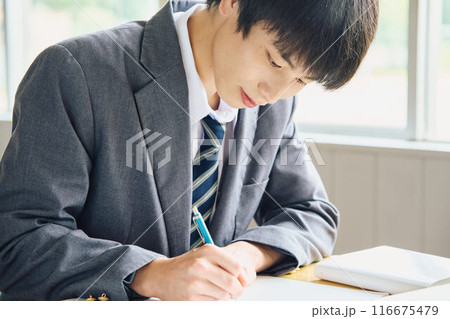 勉強する男子学生 勉強する男子学生 116675479