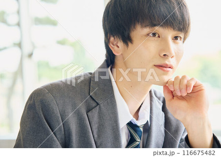 勉強する男子学生 116675482