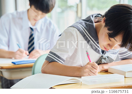 勉強する高校生男女 116675731