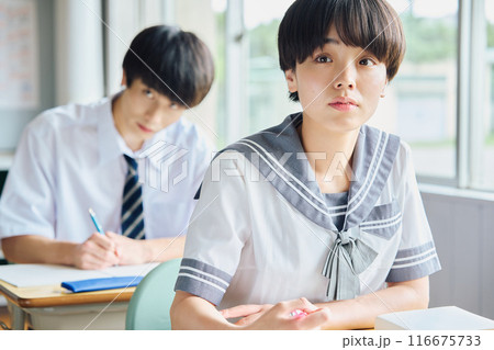 勉強する高校生男女 116675733