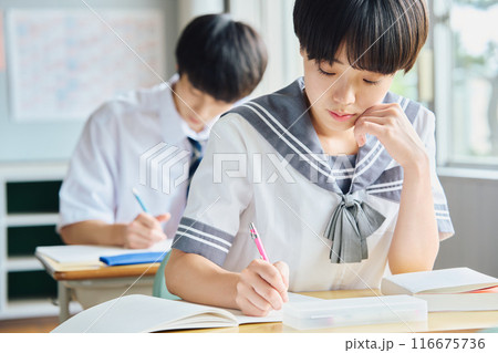 勉強する高校生男女 勉強する高校生男女 116675736