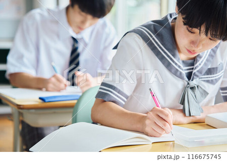 勉強する高校生男女 116675745