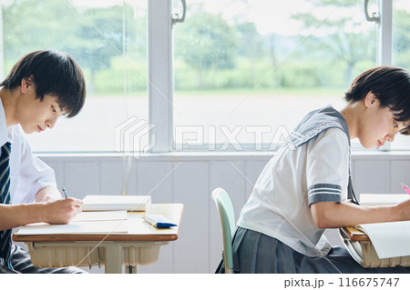 勉強する高校生男女 勉強する高校生男女 116675747