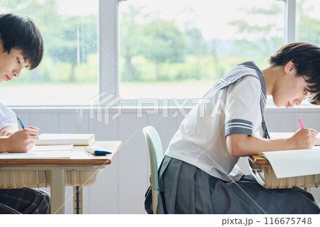 勉強する高校生男女 116675748