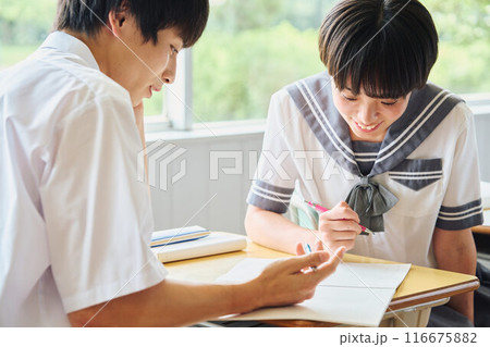 勉強する高校生男女 116675882