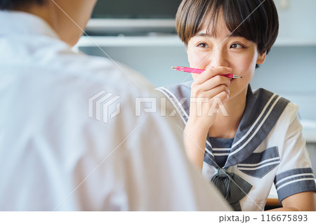 勉強する高校生男女 勉強する高校生男女 116675893