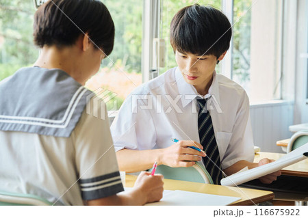 勉強する高校生男女 勉強する高校生男女 116675922
