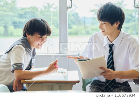 勉強する高校生男女 勉強する高校生男女 116675934
