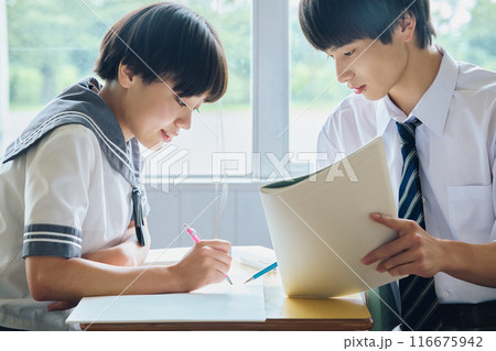 勉強する高校生男女 116675942
